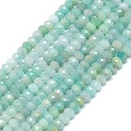 Natural Amazonite Beads Strands, Faceted, Rondelle, 2~2.5x2mm, Hole: 0.5mm, about 223~226pcs/strand, 14.96~15.16 inch(38~38.5cm)(G-G106-A15-01)