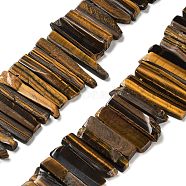 Natural Tiger Eye Beads Strands, Top Drilled Beads, Rectangle, 24~62x8~14x4~9mm, Hole: 1.8mm, about 34~39pcs/strand, 15.04''~15.51''(38.2~39.4cm)(G-L551B-07)