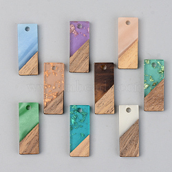 Resin & Walnut Wood Pendants, Rectangle, Mixed Color, 23x8.5x3mm, Hole: 2mm(RESI-S389-059A)