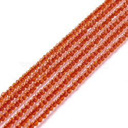 Transparent Glass Beads Strands, Faceted, Round, Coral, 2mm, Hole: 0.6mm, about 182~201pcs/strand, 14.57~15.24 inch((37~38.7cm)(GLAA-C019-01A-13)