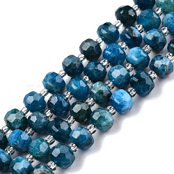 Natural Apatite Beads Strands, with Seed Beads, Faceted, Rondelle, 8x6mm, Hole: 1mm, about 20~22pcs/strand, 7.09 inch(18cm)(G-N327-08D)