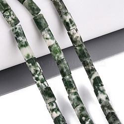 Natural Green Spot Jasper Beads Strands, Hexagonal Prism, 5~7.5x3.5~4.5mm, Hole: 0.6~0.8mm, about 57~64pcs/strand, 14.76~15.55 inch(37.5~39.5cm)(GG-N002-01A-28)
