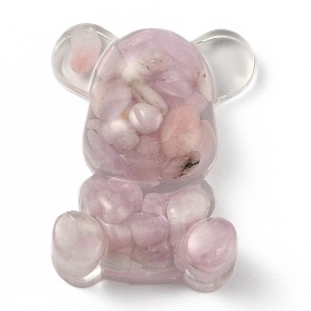 Resin Display Decorations, with Natural Kunzite/Spodumene Chips Inside, Bear, 53.5~53.8x41~41.5x17.5~21mm