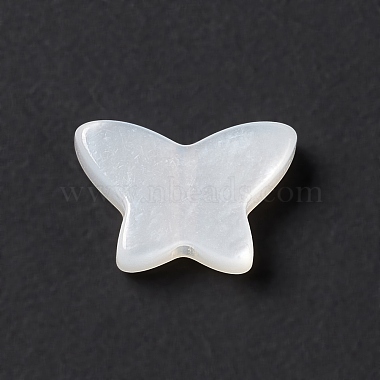 Natural White Shell Beads(BSHE-G031-05)-2