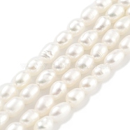 Natural Cultured Freshwater Pearl Beads Strands, Rice, Grade 4A+, Snow, 2.8~3.2mm, Hole: 0.3mm, about 31pcs/strand, 6.69''~6.89''(17~17.5cm)(PEAR-P062-01F)