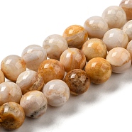 Natural Crazy Agate Beads Strands, Round, 10mm, Hole: 1.1mm, about 38pcs/strand, 15.04''(38.2cm)(G-H298-A12-04)