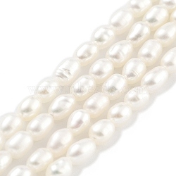 Natural Cultured Freshwater Pearl Beads Strands, Rice, Grade 4A+, Snow, 2.8~3.2mm, Hole: 0.3mm, about 31pcs/strand, 6.69''~6.89''(17~17.5cm)(PEAR-P062-01F)