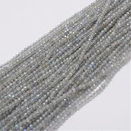 Natural Labradorite Beads Strands, Round, Faceted(128 Facets), 2mm, Hole: 0.5mm, about 220pcs/strand, 15.7 inch(40cm)(G-E347-14)