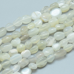 Natural Grey Moonstone Beads Strands, Tumbled Stone, Nuggets, 6~9x6~7x4~5mm, Hole: 0.8mm, about 54pcs/Strand, 15.55 inch(39.5 cm)(X-G-D0002-B42)