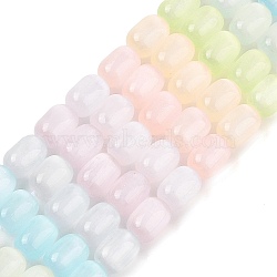 Macaron Color Natural Selenite Beads Strands, Dyed, Barrel, Mixed Color, 7~7.5x5~5.5mm, Hole: 0.9mm, about 53pcs/strand, 15.55 inch(39.5cm)(G-F750-D01)