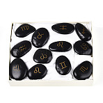 12Pcs Constellations Natural Black Stone Mineral Specimen, Golden Metal Enlaced, Healing Crystal Home Decor Gift, with Paper Box, 40~50x25~49x9~17mm(G-N360-02)