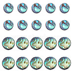 20Pcs 2 Styles Natural Abalone Shell/Paua Shell Beads Strands, Flat Round, Colorful, 8~10x3mm, Hole: 0.5mm, about 10pcs/style(SSHEL-HY0001-10)