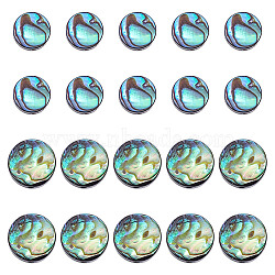 20Pcs 2 Styles Natural Abalone Shell/Paua Shell Beads Strands, Flat Round, Colorful, 8~10x3mm, Hole: 0.5mm, about 10pcs/style(SSHEL-HY0001-10)