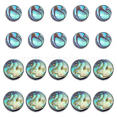 20Pcs 2 Styles Natural Abalone Shell/Paua Shell Beads Strands(SSHEL-HY0001-10)-1