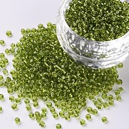 12/0 Glass Seed Beads, Silver Lined Round Hole, Round, Yellow Green, 2mm, Hole: 1mm, about 30000 beads/pound(SEED-A005-2mm-24)