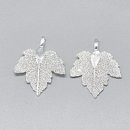Iron Pendants, Electroplate Natural Leaf, Grape Leaf, Silver Color Plated, 35x27x1.5mm, Hole: 3x5.5mm(X-IFIN-T006-17S)