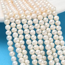 Natural Cultured Freshwater Pearl Beads Strands, Grade A+, Potato, Beige, 3.5~4mm, Hole: 0.5mm, about 93~94pcs/strand, 13.78''(35cm)(PA-CBAC463-25)