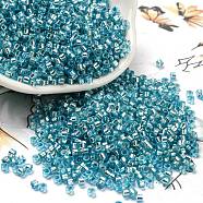 Glass Seed Beads, Silver Lined, Cylinder, Deep Sky Blue, 2.5x1.6mm, Hole: 1mm, about 58967pcs/pound(SEED-S042-04A-13)