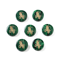 Synthetic Malachite Beads, with Golden Tone Brass Slices, Flat Round with Constellations, Capricorn, 15x4mm, Hole: 1mm(G-F775-D10)