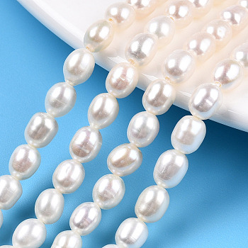 Natural Cultured Freshwater Pearl Beads Strands, Rice, Seashell Color, 6.4~7x5~5.5mm, Hole: 0.7~0.8mm, about 55~56pcs/strand, 13.98 inch(35.5cm)