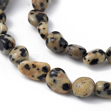 Chapelets de perles en jaspe dalmatien naturelle(G-B039-03B)-3