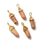 Natural Picture Jasper Pendants, Faceted, with Golden Tone Brass Findings, Lead free & Cadmium Free, Bullet, 27~30x9~10x7~8mm, Hole: 4x3mm(G-K329-45G)