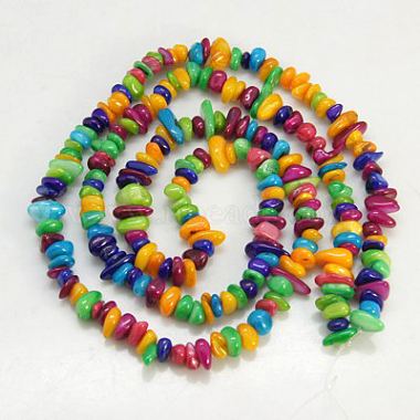 Natural Shell Beads Strands(X-BSHE-D004-2)-2