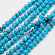 Synthetic Chinese Turquoise Bead Strands, Round, 2mm, Hole: 0.8mm, about 184pcs/strand, 16 inch(X-G-A130-2mm-L06)