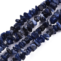 Natural Sodalite Beads Strands, Chip, 3~8x3~8x2~6mm, Hole: 0.8mm, about 340~355pcs/strand, 35.43 inch(90cm)(G-S364-080)