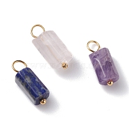 Natural Gemstone Pendants, with Real 24K Gold Plated 304 Stainless Steel Loops, Column, 17~17.5x6~7x6~7mm, Hole: 3.5mm(PALLOY-JF01226)