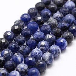 Natural Sodalite Beads Strands, Grade A, Faceted, Round, 10mm, Hole: 1mm, about 37pcs/strand, 14.9 inch~15.1 inch(G-D840-19-10mm)