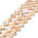 Natural Trochid Shell Beads Strands(SSHEL-G023-09A)-1