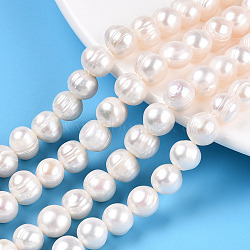 Natural Cultured Freshwater Pearl Beads Strands, Potato, Creamy White, 7.5~8x7~9mm, Hole: 0.7mm, about 23~24pcs/strand, 7.09 inch(18cm)(PEAR-N013-17N-01)