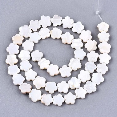 Eau douce naturelle de coquillage perles brins(X-SHEL-S276-111)-2
