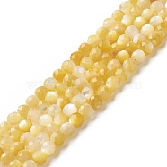 Natural Golden Yellow Shell Beads Strands, Faceted, Round, 4mm, Hole: 0.5mm, about 98pcs/strand, 15.55 inch(39.5cm)(SSHEL-G029-01A)