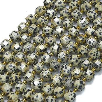 Natural Dalmatian Jasper Beads Strands, with Seed Beads, Faceted Table Cut Cube, 8x8x8mm, Hole: 0.6mm, about 38pcs/strand, 15.35''(39cm)