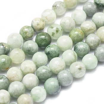 Natural Myanmar Jade/Burmese Jade Beads Strands, Round, 6mm, Hole: 0.5mm, about 66pcs/Strand, 15.75 inch(40cm)