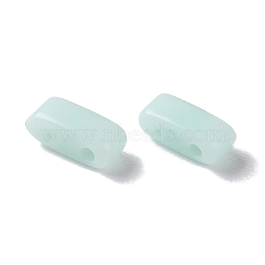 Opaque Acrylic Slide Charms(OACR-Z010-02L)-2