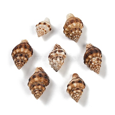 Coconut Brown Shell Shape Spiral Shell Beads