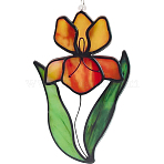 Bird of Paradise Flower Stained Acrylic Pendant Decoration, with Iron Chain, for Window Hanging Ornaments, Dark Orange, 150x82x3mm, Hole: 2.2mm(HJEW-WH20003-24B)