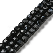 Natural Black Agate Beads Strands, Faceted, Cube, 5~5.5x5~5.5x5~5.5mm, Hole: 1.2mm, about 77pcs/strand, 15.16~15.24 inch(38.5~38.7cm)(G-G005-A01-01)