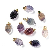 Autumn Theme Natural Fluorite Carved Pendants, with Golden Plated Brass Findings and Green Enamel, Grape, 18.5~20x11.5mm, Hole: 3.6mm(G-J387-102)
