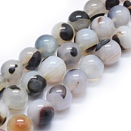 Natural Agate Beads Strands, Dyed & Heated, Round, Gainsboro, 17~18mm, Hole: 2~2.5mm, about 24~26pcs/strand, 17.3 inch~18.5 inch(44~47cm)(G-I245-40A)
