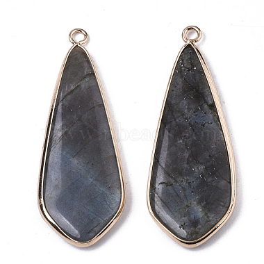 Natural Labradorite Pendants(G-S359-108A)-2