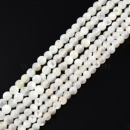 Natural White Shell Bead Strands, Round, 2~2.5mm, Hole: 0.6mm, about 172~173pcs/strand, 14.57 inch~14.69 inch(37~37.3cm)(SSHEL-N003-144A-01)