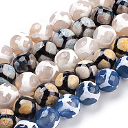Tibetan Style Turtle Back Pattern dZi Beads Strands, Natural Agate, Giraffe Skin Agate, Dyed, Faceted, Round, Mixed Color, 10mm(G-G036-10mm)