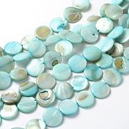 Natural Shell Beads Strands, Dyed, Flat Round, Blue, about 13.5~15.5mm in diameter, 3mm thick, hole: 1~1.2mm, 28pcs/strand, 16 inch(X-PBB251Y-8)