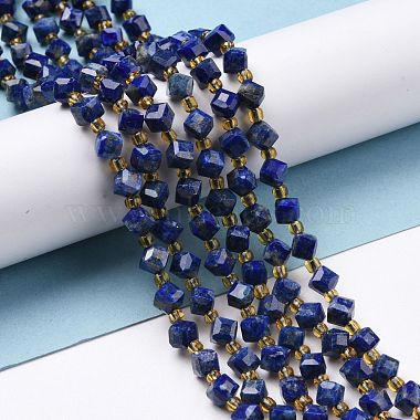Natural Lapis Lazuli Beads Strands(G-P463-25)-2