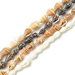 4 Strands 4 Colors Natural Freshwater Shell Beads Strands, Shell Shape, Mixed Color, 8~16x4~10x4~9mm, Hole: 0.5mm, about 140~189pcs/strand, 58.66~60.63 inch(149~154cm), 1 strand/color (SHEL-CJ0001-38)