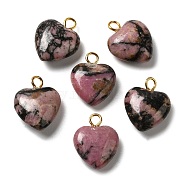 Natural Rhodonite Pendants, Heart Charms with Golden Plated Brass Loops, 15~15.5x12~12.5x4.5~5.5mm, Hole: 2mm(G-E603-01G-05)